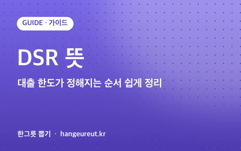 DSR 뜻 정리